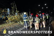 Ongeval Tilburgseweg in Goirle (+Video)