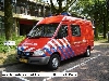 Meer informatie over het voertuig 981