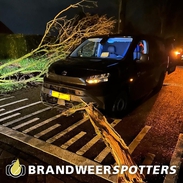 Stormschade (eenzijdig) (Soort gevaar: boom) Zanddreef in Prinsenbeek