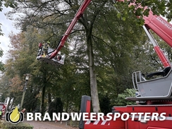 Stormschade Nieuwstraat in Gilze