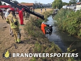 Dier te water Blauwe Hoefsweg in Klundert