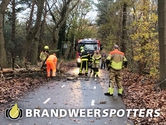 Stormschade Tilburgse Baan in Oosterhout