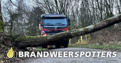 Stormschade Oude Bosschebaan in Udenhout