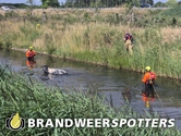 Dier te water Exportweg in Moerdijk
