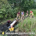 Dier te water Mark in Breda