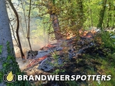 Melding BR berm/bosschage Hoefslag in 's Gravenmoer
