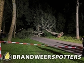 Stormschade (Soort gevaar: boom) Omschoorweg Benraatshoef in Raamsdonksveer