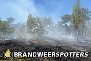 Bosbrand (grote brand) De Siptenpad in Tilburg