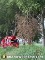 Stormschade (Soort gevaar: boom) Lageweg in Raamsdonk