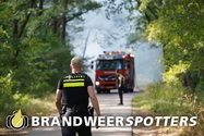 Bosbrand Nieuwe Maastrichtsebaan in Gilze (+ video)