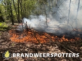 Bosbrand (middel brand) Kalbergseweg in Oosterhout