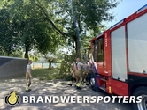 Stormschade (Soort gevaar: boom) Zuiderkruis in Oosterhout