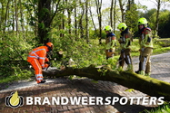 Stormschade Nieuwkerksedijk-Zuid in Goirle