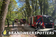 Bosbrand (middel brand) Kalbergseweg in Oosterhout