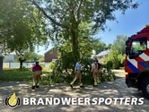 Stormschade (Soort gevaar: boom) Zuiderkruis in Oosterhout