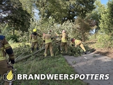 Stormschade (Soort gevaar: boom) Hannie Schaftlaan in Rijen