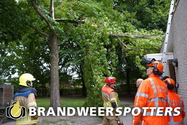 Stormschade (Soort gevaar: boom) Stichting Sterk Huis Rillaerse-Baan in Goirle