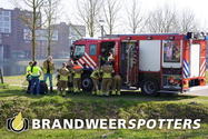 Dier in de problemen Hoge Wal in Goirle (+Video)