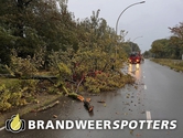 Stormschade (Soort gevaar: boom) RIJKSWEG in Hulten