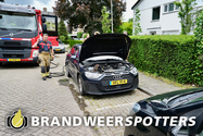 Dier in de problemen Marinus de Jongstraat in Oosterhout