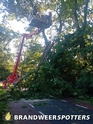 Stormschade (Soort gevaar: boom) Cafe Jagersrust Hoeksestraat in Schijf