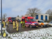 Dier te water Oeverzwaluwpad in Teteringen