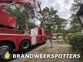 Dier op hoogte Camping den Mastendol Oosterhoutseweg in Rijen