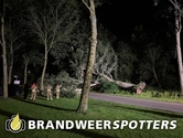 Stormschade (Soort gevaar: boom) Omschoorweg Benraatshoef in Raamsdonksveer