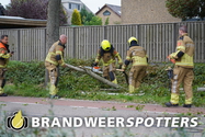 Stormschade (Soort gevaar: boom) Westerlaan in Dongen