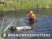 Dier te water Exportweg in Moerdijk