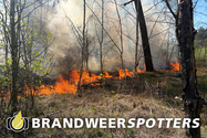 Bosbrand (grote brand) De Siptenpad in Tilburg