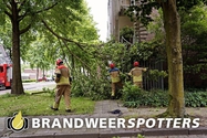 Stormschade Rijnstraat in Dongen